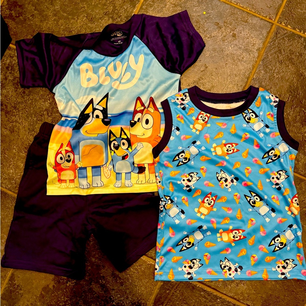 Bluey shorts set